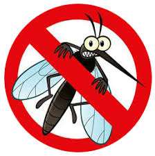 Slika prekriženoga komarca, upozorenje na njih